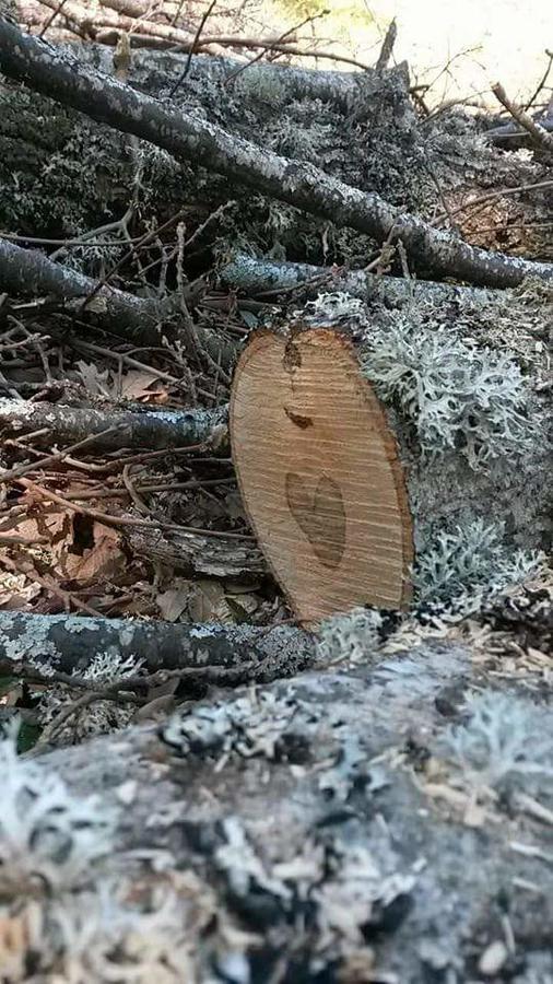 Appartamento Castello Di Cammoro Sellano Esterno foto